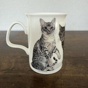 Henley Collection Bone China Cat Kitty Mug England Tabby K M Hassell